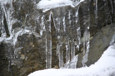 ir-121225__7731_15-52.jpg