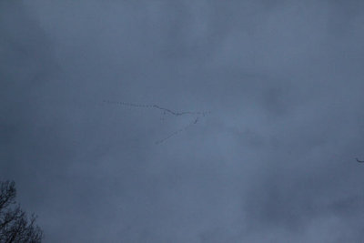 ir-121225__7740_16-32.jpg