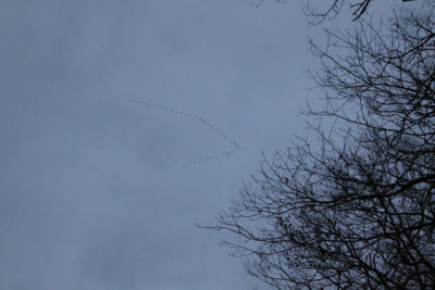 ir-121225__7741_16-32.jpg