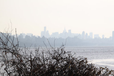 ir-130108__7922_13-46.jpg