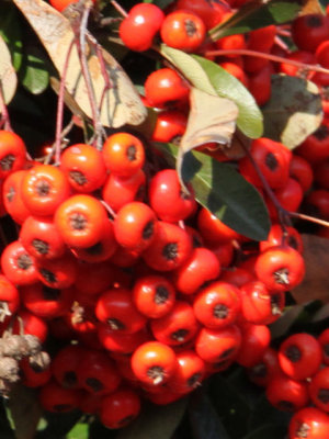 ir-130108__7929_13-58P.jpg