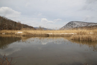 ir-130117__7995_13-07.jpg