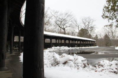 ir-130117__8015_14-08.jpg