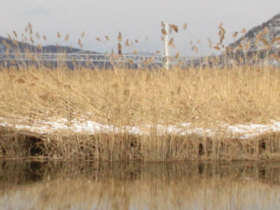 ir-130117__7995_13-07L.jpg