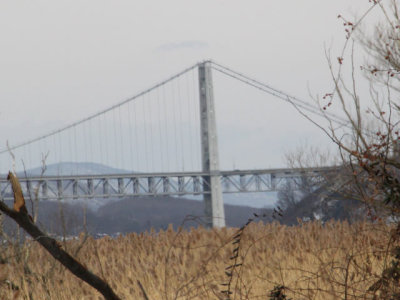 ir-130117__8005_13-21L.jpg