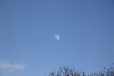 ir-130122__8234_15-06.jpg