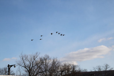 ir-130122__8240_15-14.jpg