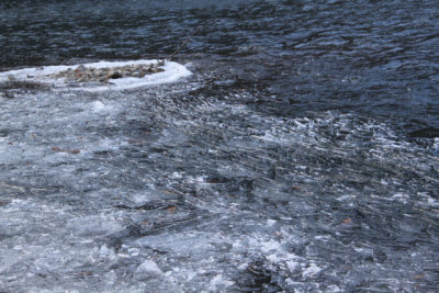 ir-130122__8247_15-23.jpg