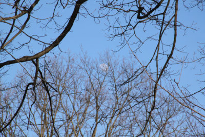 ir-130122__8251_15-27.jpg