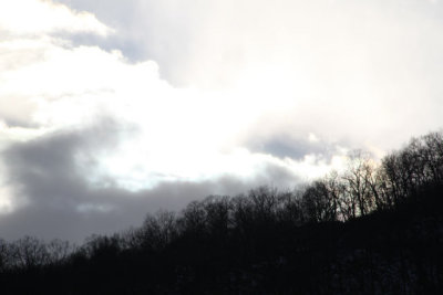 ir-130122__8259_15-38.jpg