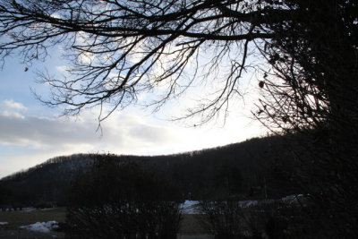 ir-130122__8263_15-42.jpg