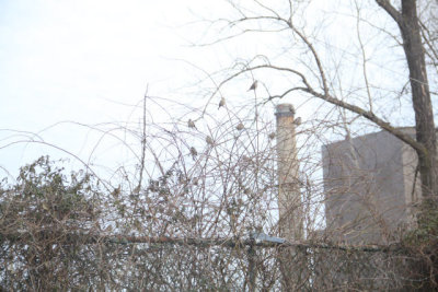 ir-130207__8458_16-44.jpg