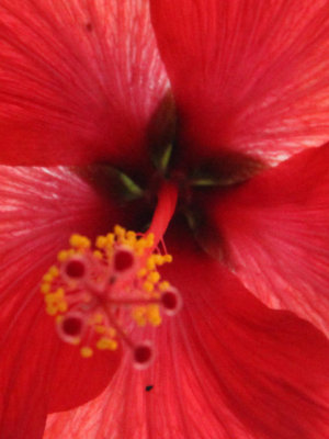 ir-130210__8474_13-07P.jpg