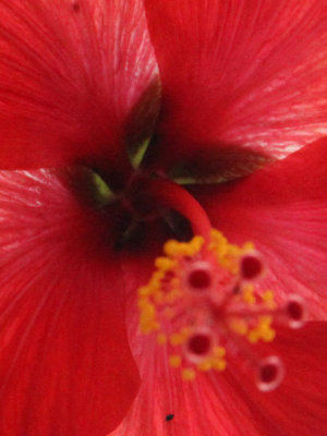 ir-130210__8475_13-07P.jpg