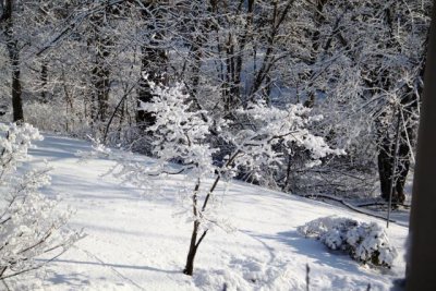 ir-130214__8590_08-50.jpg