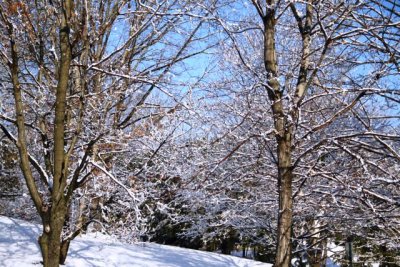 ir-130214__8596_08-51.jpg