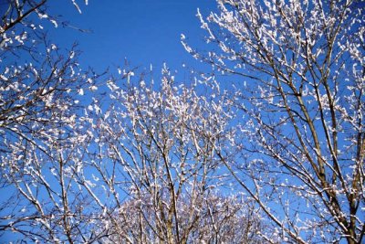 ir-130214__8597_08-52.jpg