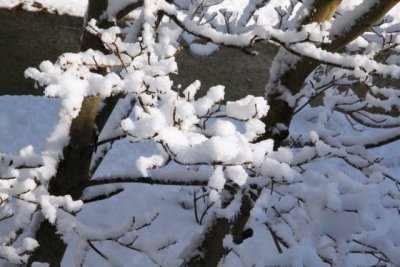 ir-130214__8600_08-53.jpg