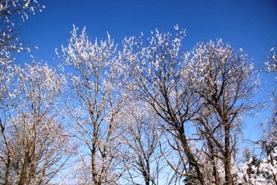 ir-130214__8603_08-54.jpg