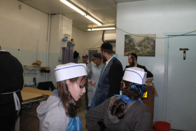 ir-130218__8752_15-09.jpg