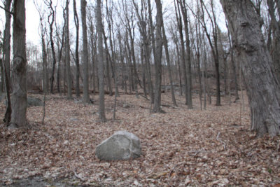 ir-130314__9217_17-03.jpg