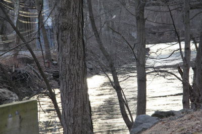 ir-130314__9220_17-08.jpg