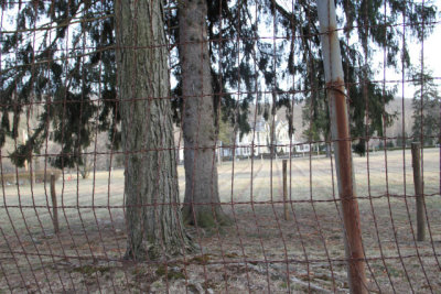 ir-130314__9225_17-19.jpg