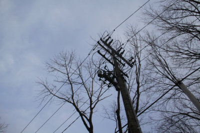ir-130314__9226_17-21.jpg
