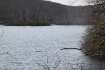 ir-130404__9325_11-21.jpg