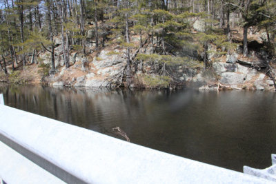 ir-130404__9332_11-40.jpg