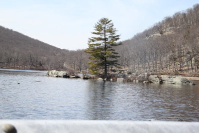 ir-130404__9340_11-46.jpg