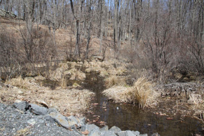 ir-130404__9343_11-50.jpg