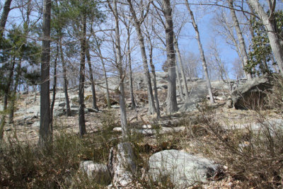 ir-130404__9348_11-57.jpg