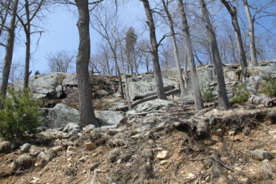 ir-130404__9350_11-59.jpg