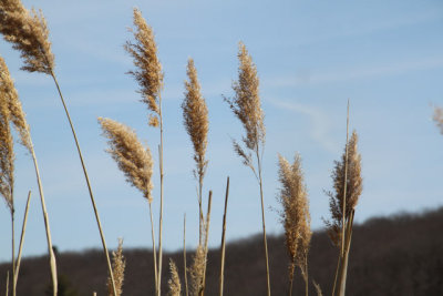 ir-130404__9358_12-18.jpg