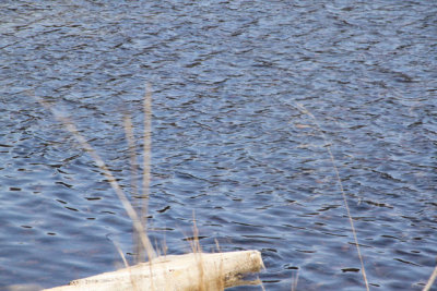 ir-130404__9359_12-20.jpg