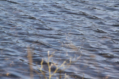 ir-130404__9360_12-20.jpg