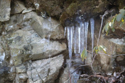 ir-130404__9375_13-08.jpg