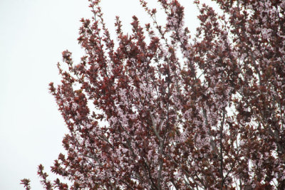 ir-130423__9589_12-17.jpg