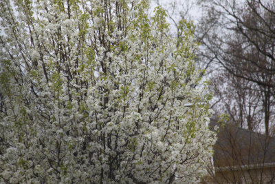 ir-130423__9590_12-17.jpg