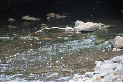 ir-130423__9602_12-50.jpg