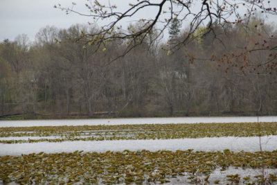 ir-130423__9603_13-14.jpg