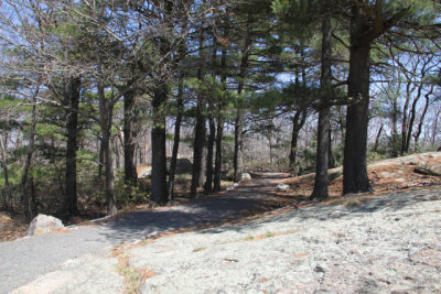 ir-130425__9625_11-45.jpg