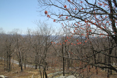 ir-130425__9640_12-05.jpg