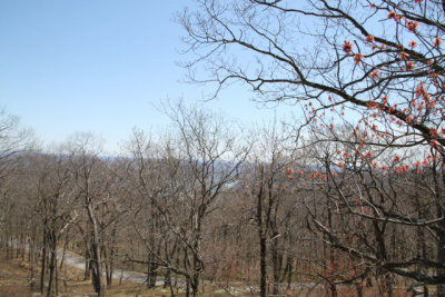 ir-130425__9642_12-05.jpg