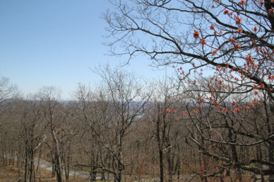 ir-130425__9643_12-06.jpg
