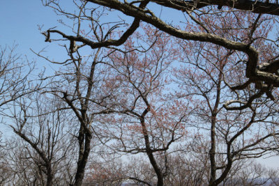 ir-130425__9647_12-08.jpg
