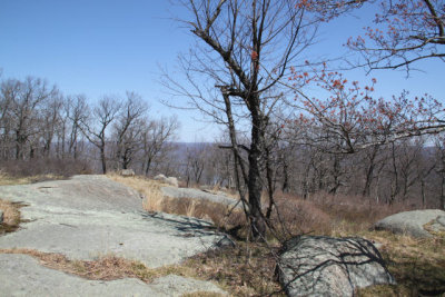 ir-130425__9657_12-15.jpg