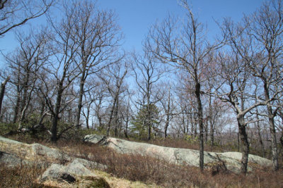 ir-130425__9666_12-32.jpg