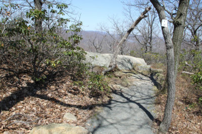 ir-130425__9674_12-48.jpg